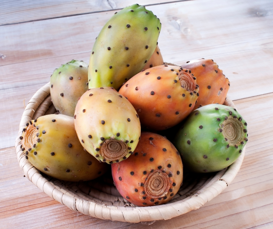 Prickly Pear vs Dragon Fruit: Comparing Two Exotic Fruits' Flavors