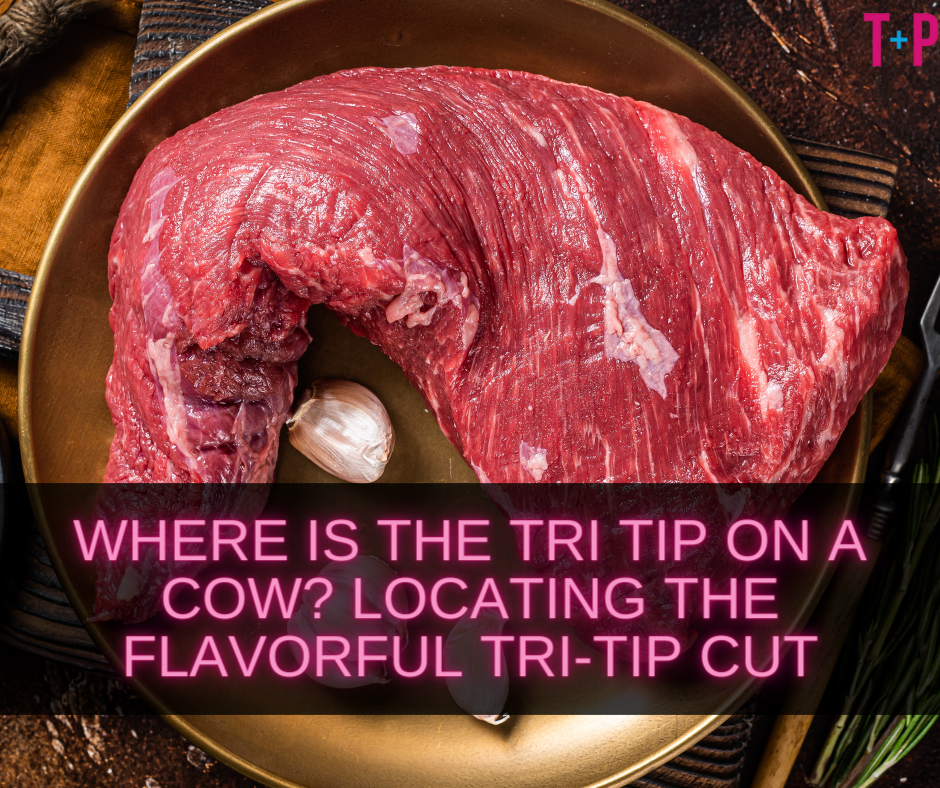 Where Is the Tri Tip on a Cow?